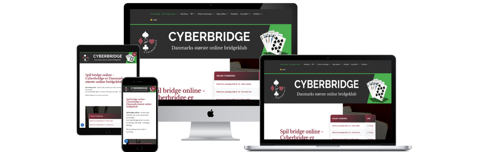Cyberbridge efter