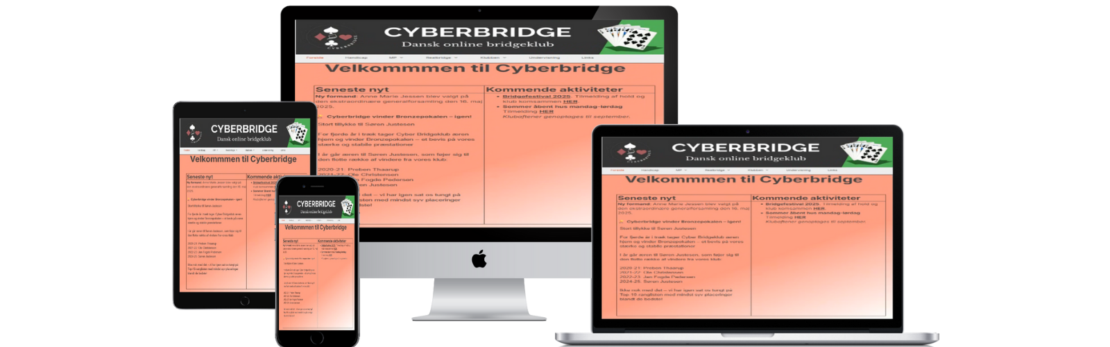 Cyberbridge hjemmeside før billede